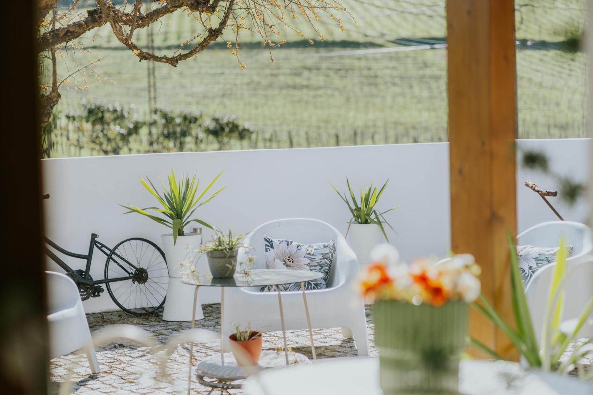 Casa Relogio De Sol Villa Lamego Eksteriør bilde