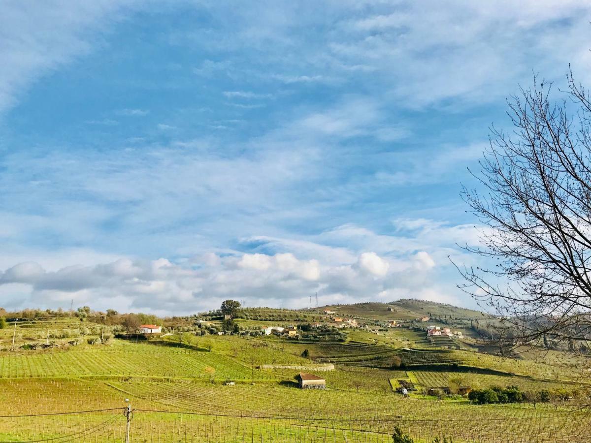 Casa Relogio De Sol Villa Lamego Eksteriør bilde
